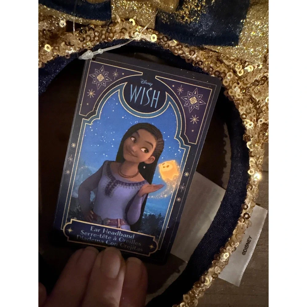 Disney parks wish